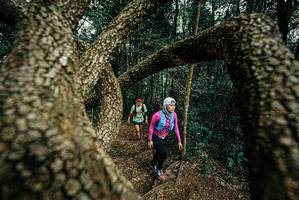 BIB: 
                            <button type="button" onclick="openModal(25703227)" class="btn btn-primary btn-sm float-right btn-popup" data-toggle="modal" data-target=".modal-high-quality">
                        <i class="fas fa-shopping-cart"></i> Add to Cart
                    </button>
                                            <button type="button" onclick="isThisMe(25703227, true)" class="btn btn-success btn-sm float-right btn-popup btn-isme hidden" data-toggle="tooltip" data-placement="bottom" title="นี่คือรูปของคุณใช่ไหม คลิกที่นี่เพื่อเอาเข้าอัลบั้ม">
                        <i class="fas fa-plus"></i> Add to album
                    </button>
                    <button type="button" onclick="isThisMe(25703227, false)" class="btn btn-warning btn-sm float-right btn-popup btn-isnotme hidden">
                        <i class="fas fa-ban"></i> Remove from album
                    </button>